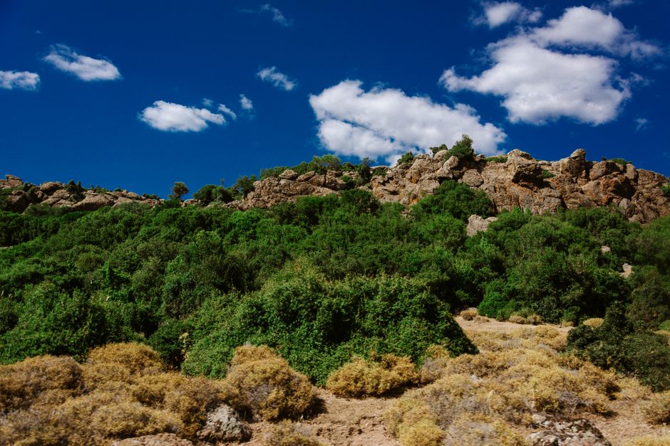 A scenic rocky hill with lush green vegetation under a blue sky with clouds on a summer day.